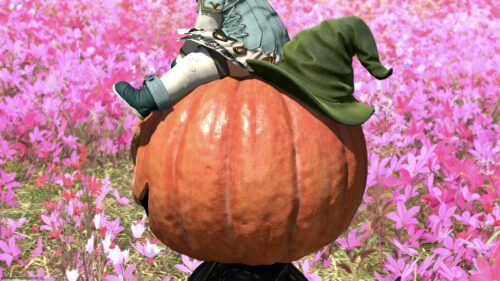 img_1602 ララフェル FF14ブログ Norirow Note 20