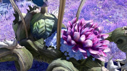 img_1772 ララフェル FF14ブログ Norirow Note 20