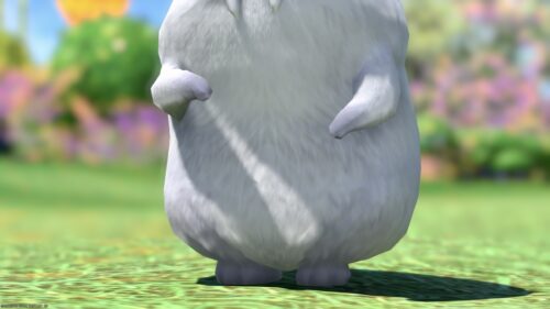 img_1865-1 ララフェル FF14ブログ Norirow Note 20