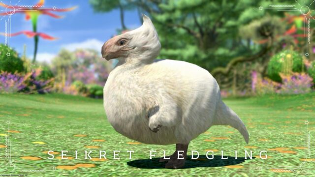 Monster Hunter collaboration cute baby Seikret minion "Seikret Fledgling" Lalafell FF14 Blog Norirow Note 11