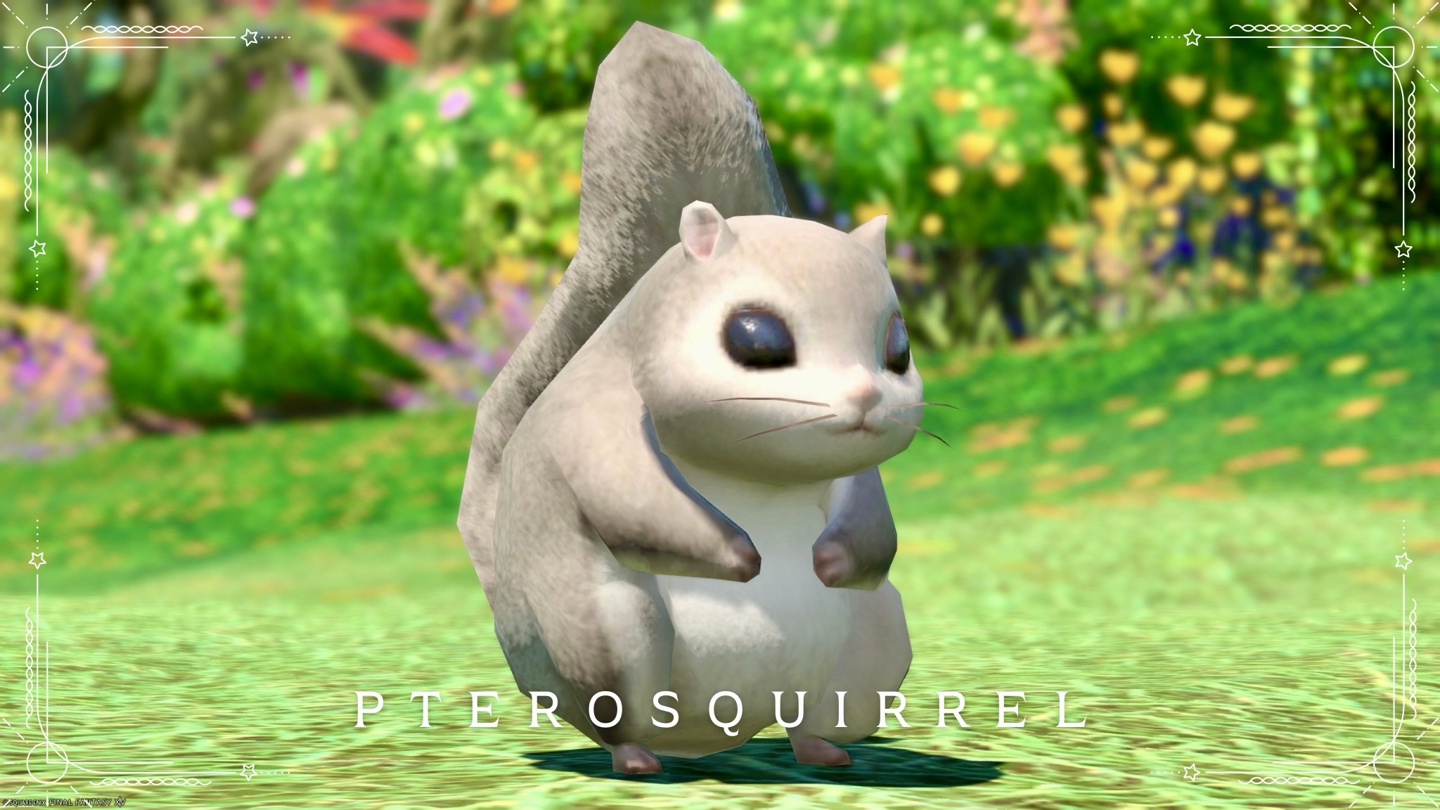 A relative of the squirrel? The cute gliding minion of a small mammal, the Pterosquirrel Lalafell FF14 Blog Norirow Note 24