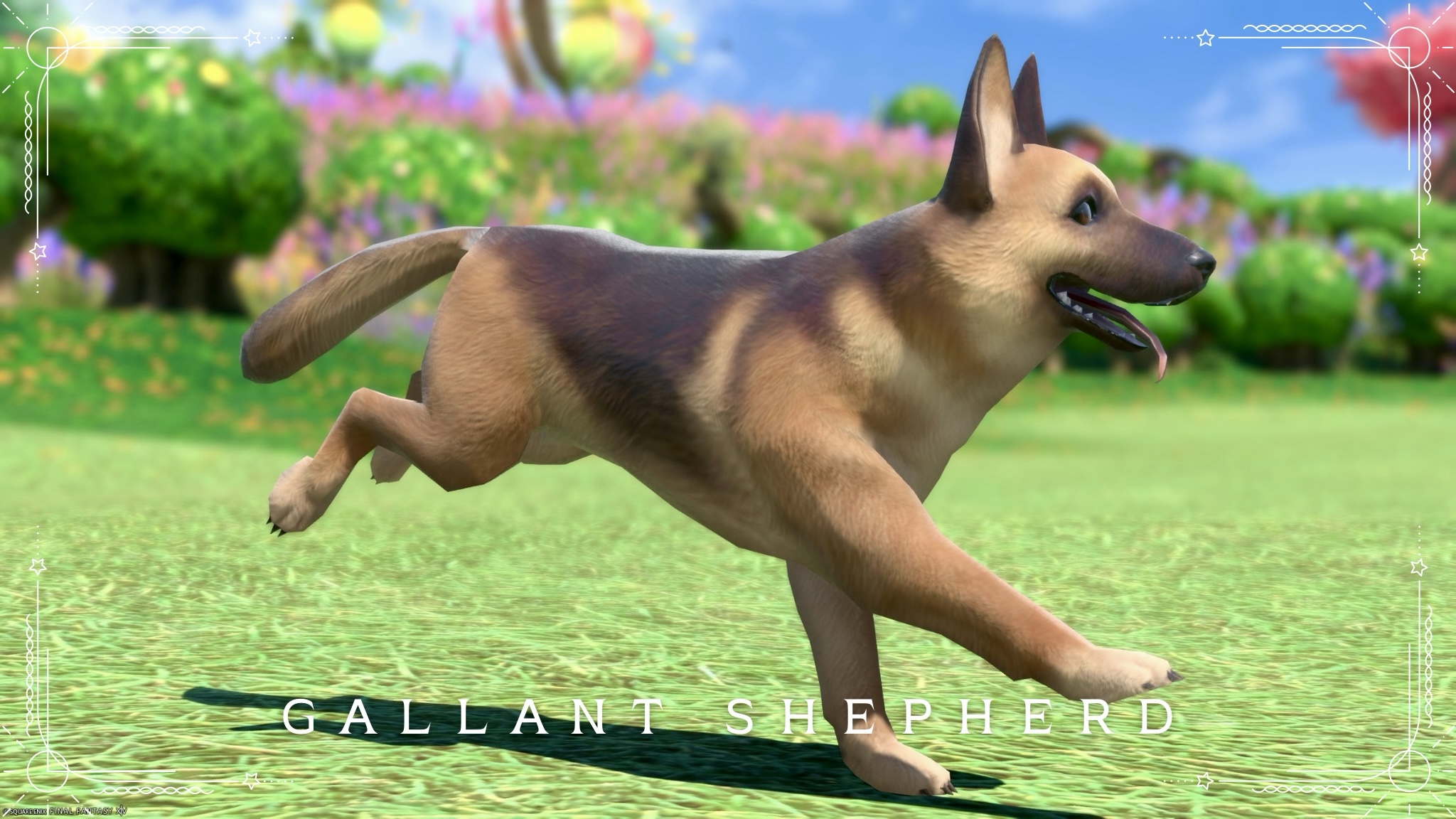 Minion "Gallant Shepherd" is an intelligent, loyal and cute shepherd dog! Lalafell FF14 Blog Norirow Note 24