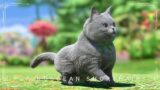 Russian Blue Cute Cat Minion "Bluecoat Cat" Lalafell FF14 Blog Norirow Note 26
