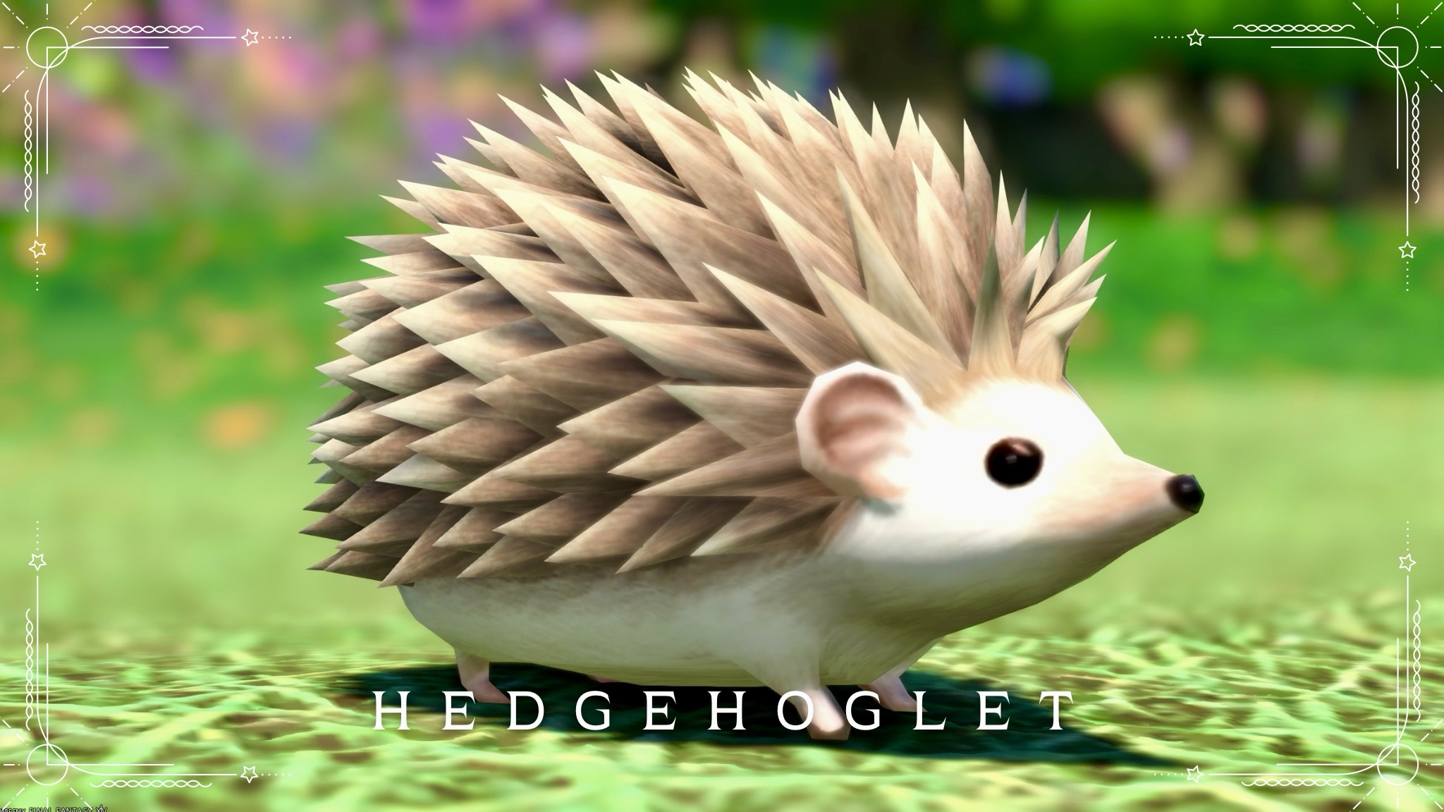The adorable, soft hedgehog Minion, 'Hedgehoglet' Lalafell FF14 Blog Norirow Note 24