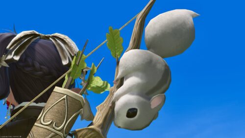 img_1375 ララフェル FF14ブログ Norirow Note 20