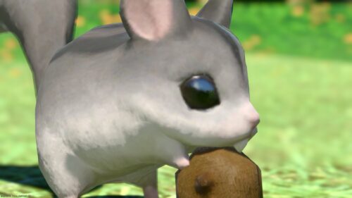 img_1845-1 ララフェル FF14ブログ Norirow Note 20