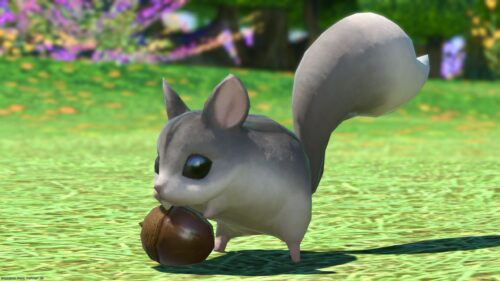 img_1849 ララフェル FF14ブログ Norirow Note 20