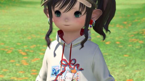 img_2876-1 ララフェル FF14ブログ Norirow Note 20