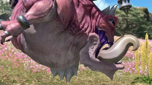 img_3274 ララフェル FF14ブログ Norirow Note 20
