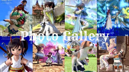 uuid=df8434b8-2305-4b40-8246-b94e1b332a84&code=001&library=1&type=1&mode=1&loc=true&cap=true ララフェル FF14ブログ Norirow Note 20